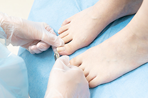 爪切りなどの細かいケアも充実